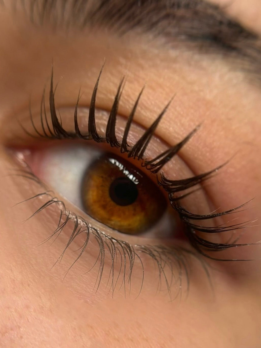 Curso Privado: Lash Lift Presencial